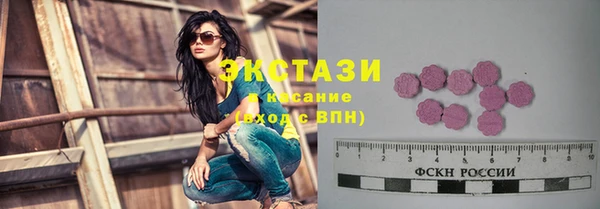 индика Беломорск