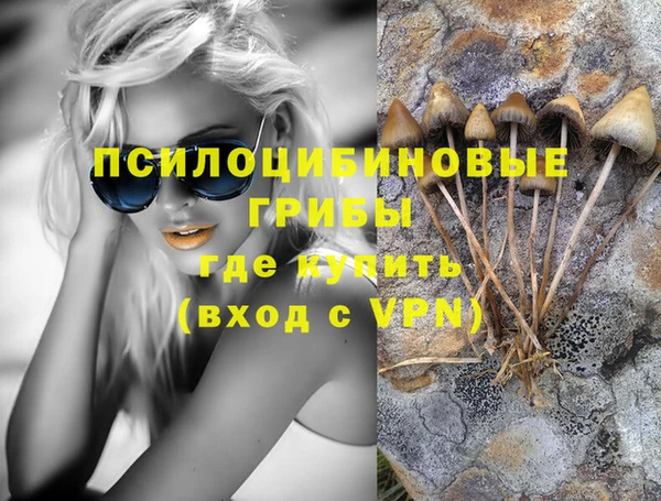 метадон Белокуриха