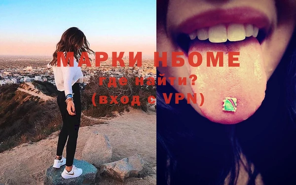 индика Беломорск