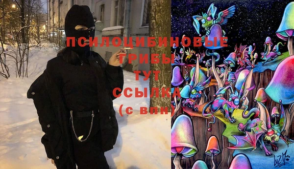 метадон Белокуриха