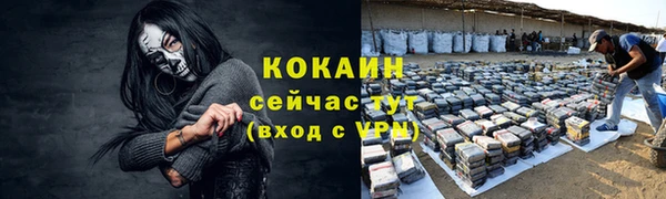 индика Беломорск