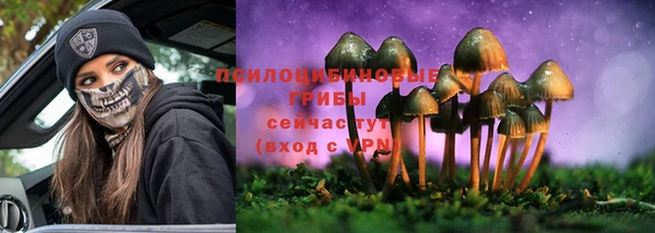 индика Беломорск