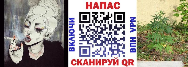 Купить  Мещовск  Канабис марихуана 